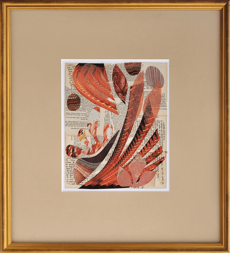 Cleared Collage: red feather form over text, MX00548, from Pinacoteca Picture Props